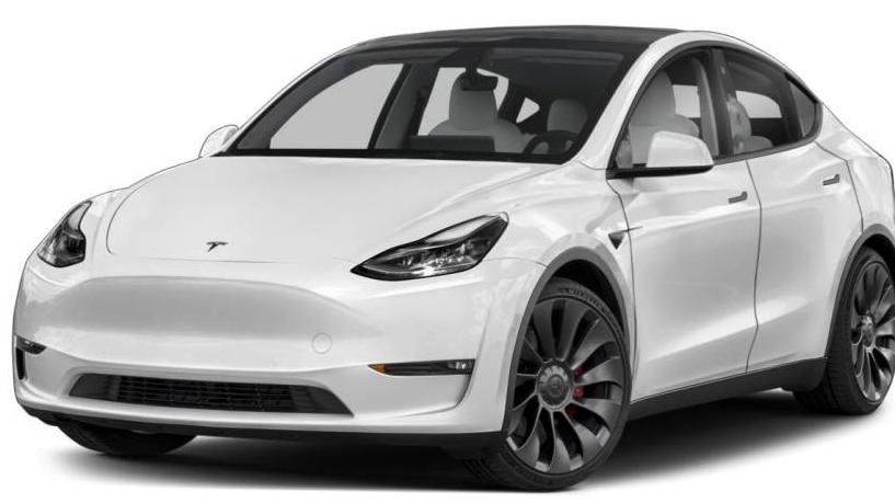 TESLA MODEL Y 2021 5YJYGDEE6MF124923 image